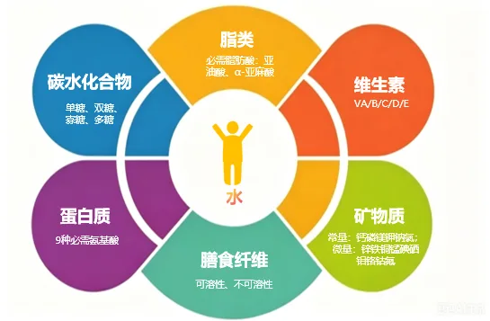 微信图片_20260610174120_38_2